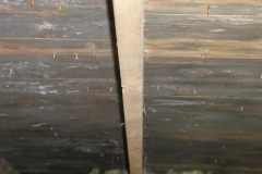 Mould Remediation Cleaning 1