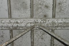 Mould Remediation Cleaning 3